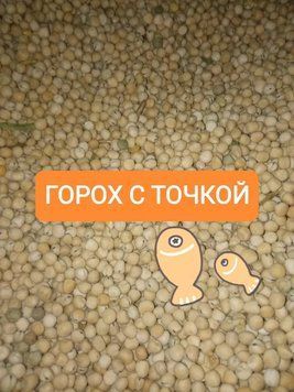 Горох для Рыбалки Черноглазка 2026г. с Черной точкой Модус Сухой для Прикормки и Насадки 10 кг goroh-2026 фото