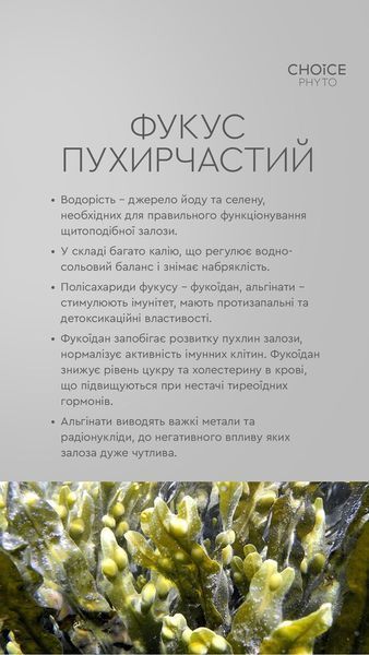 Гармонія - нормалізує роботу щитоподібної залози choice-garmoniya1 фото