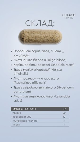 ДД Інтелект - нормалізує мозкову діяльність choice-intelekt фото