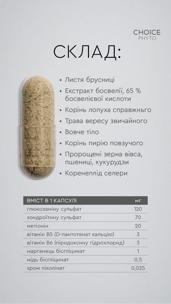 Комфорт Choice &ndash; дієвий природний комплекс для підтримки суглобів choice-komfort-02 фото