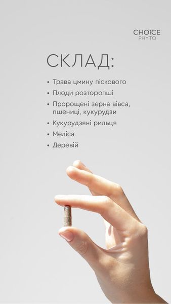 ДД Лівсейф - для нормалізації функцій печінки і жовчного міхура choice-livseif фото
