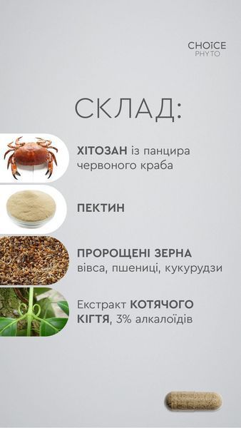 ДД Хітозан + - абсорбує й виводить з організму солі важких металів, радіонукліди 99100025101 фото